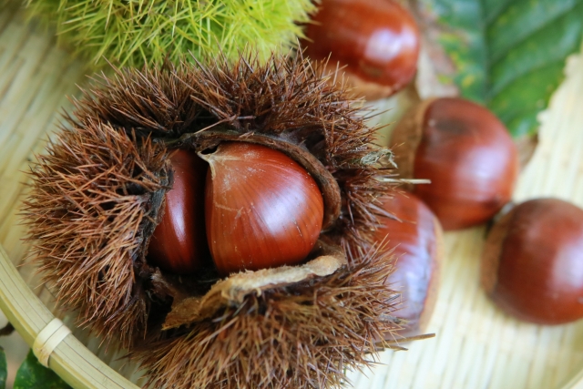 うつ病が悪化する兆候